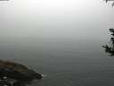 ./images/koeye/fitz-hugh/20180815/fitz-hugh20180815_095501.jpg