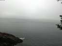 ./images/koeye/fitz-hugh/20180815/fitz-hugh20180815_110501.jpg