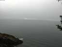 ./images/koeye/fitz-hugh/20180815/fitz-hugh20180815_111501.jpg