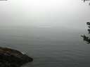 ./images/koeye/fitz-hugh/20180815/fitz-hugh20180815_112501.jpg
