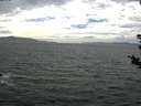./images/koeye/fitz-hugh/20180815/fitz-hugh20180815_160501.jpg