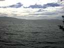 ./images/koeye/fitz-hugh/20180815/fitz-hugh20180815_162502.jpg