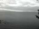 ./images/koeye/fitz-hugh/20180816/fitz-hugh20180816_053501.jpg