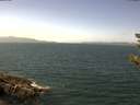 ./images/koeye/fitz-hugh/20180816/fitz-hugh20180816_130502.jpg