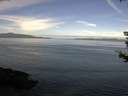 ./images/koeye/fitz-hugh/20180817/fitz-hugh20180817_100002.jpg