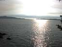 ./images/koeye/fitz-hugh/20180818/fitz-hugh20180818_175501.jpg
