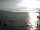 ./images/koeye/fitz-hugh/20180818/fitz-hugh20180818_184502.jpg