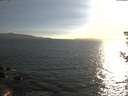 ./images/koeye/fitz-hugh/20180818/fitz-hugh20180818_190502.jpg