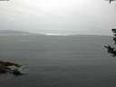 ./images/koeye/fitz-hugh/20180819/fitz-hugh20180819_073501.jpg