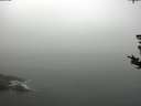 ./images/koeye/fitz-hugh/20180819/fitz-hugh20180819_095002.jpg