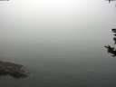 ./images/koeye/fitz-hugh/20180819/fitz-hugh20180819_104001.jpg