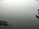 ./images/koeye/fitz-hugh/20180819/fitz-hugh20180819_104501.jpg