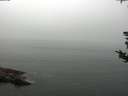./images/koeye/fitz-hugh/20180819/fitz-hugh20180819_105501.jpg