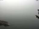 ./images/koeye/fitz-hugh/20180819/fitz-hugh20180819_113501.jpg