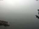 ./images/koeye/fitz-hugh/20180819/fitz-hugh20180819_114001.jpg