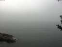 ./images/koeye/fitz-hugh/20180819/fitz-hugh20180819_122501.jpg
