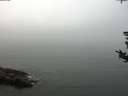 ./images/koeye/fitz-hugh/20180819/fitz-hugh20180819_123502.jpg