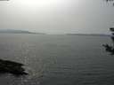 ./images/koeye/fitz-hugh/20180819/fitz-hugh20180819_161502.jpg