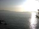 ./images/koeye/fitz-hugh/20180819/fitz-hugh20180819_185002.jpg