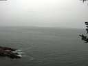 ./images/koeye/fitz-hugh/20180820/fitz-hugh20180820_074002.jpg
