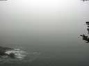 ./images/koeye/fitz-hugh/20180820/fitz-hugh20180820_110502.jpg
