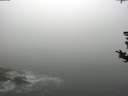 ./images/koeye/fitz-hugh/20180820/fitz-hugh20180820_111002.jpg