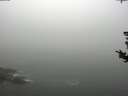 ./images/koeye/fitz-hugh/20180820/fitz-hugh20180820_112502.jpg