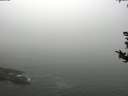 ./images/koeye/fitz-hugh/20180820/fitz-hugh20180820_114501.jpg