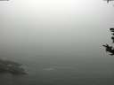 ./images/koeye/fitz-hugh/20180820/fitz-hugh20180820_115501.jpg