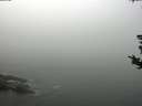 ./images/koeye/fitz-hugh/20180820/fitz-hugh20180820_121001.jpg