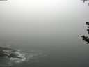 ./images/koeye/fitz-hugh/20180820/fitz-hugh20180820_121501.jpg