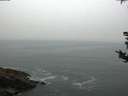 ./images/koeye/fitz-hugh/20180821/fitz-hugh20180821_060501.jpg