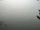 ./images/koeye/fitz-hugh/20180821/fitz-hugh20180821_111002.jpg