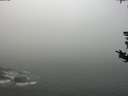 ./images/koeye/fitz-hugh/20180821/fitz-hugh20180821_115001.jpg