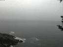 ./images/koeye/fitz-hugh/20180822/fitz-hugh20180822_055001.jpg