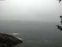 ./images/koeye/fitz-hugh/20180822/fitz-hugh20180822_062501.jpg