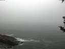 ./images/koeye/fitz-hugh/20180822/fitz-hugh20180822_072501.jpg