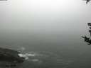 ./images/koeye/fitz-hugh/20180822/fitz-hugh20180822_080002.jpg
