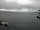 ./images/koeye/fitz-hugh/20180822/fitz-hugh20180822_135002.jpg