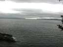 ./images/koeye/fitz-hugh/20180822/fitz-hugh20180822_154501.jpg