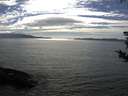 ./images/koeye/fitz-hugh/20180822/fitz-hugh20180822_165502.jpg