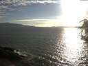 ./images/koeye/fitz-hugh/20180822/fitz-hugh20180822_184501.jpg