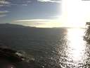 ./images/koeye/fitz-hugh/20180822/fitz-hugh20180822_185001.jpg
