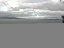 ./images/koeye/fitz-hugh/20180823/fitz-hugh20180823_083502.jpg