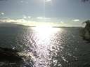 ./images/koeye/fitz-hugh/20180823/fitz-hugh20180823_171502.jpg