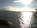 ./images/koeye/fitz-hugh/20180823/fitz-hugh20180823_181501.jpg