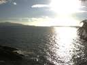 ./images/koeye/fitz-hugh/20180823/fitz-hugh20180823_182501.jpg