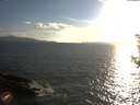 ./images/koeye/fitz-hugh/20180823/fitz-hugh20180823_191001.jpg