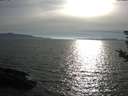 ./images/koeye/fitz-hugh/20180824/fitz-hugh20180824_181001.jpg