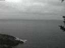 ./images/koeye/fitz-hugh/20180825/fitz-hugh20180825_055501.jpg